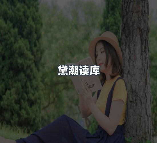 关于黛潮读库